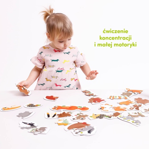 Puzzle progresywne Zwierzątka w lesie dla dzieci: 2+