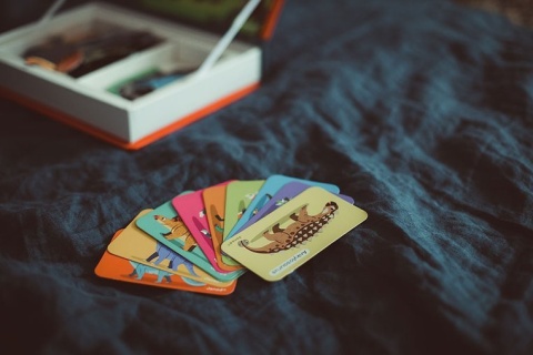 Janod Magnetyczna układanka Dinozaury Magnetibook