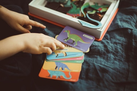 Janod Magnetyczna układanka Dinozaury Magnetibook