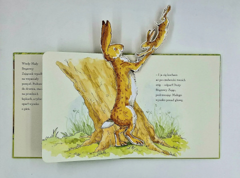 Nawet nie wiesz, jak bardzo cię kocham. Pop-up