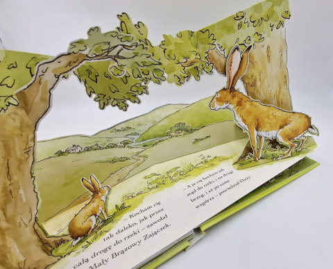 Nawet nie wiesz, jak bardzo cię kocham. Pop-up