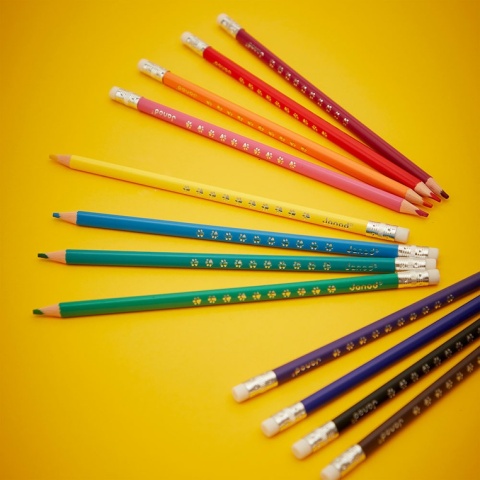 Janod Kredki ołówkowe zmazywalne z gumką 12 kolorów 3+