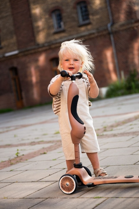 SCOOTANDRIDE Highwaykick 1 Push and Go 2w1 Jeździk i hulajnoga z rączką do prowadzenia 1-5 lat Mocha