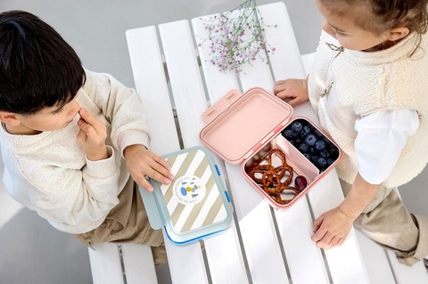 Lassig Lunchbox ze stali nierdzewnej Sunny Explorer rose/pink