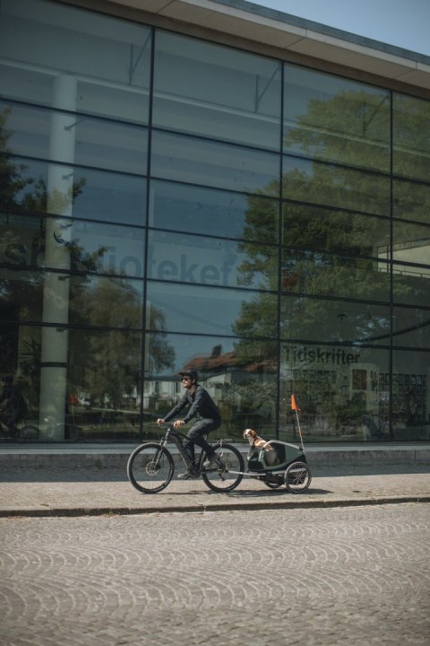 Przyczepka rowerowa dla psa - Thule Bexey L do 45 kg - Haze green