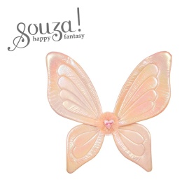 Souza! Skrzydła Alessandra