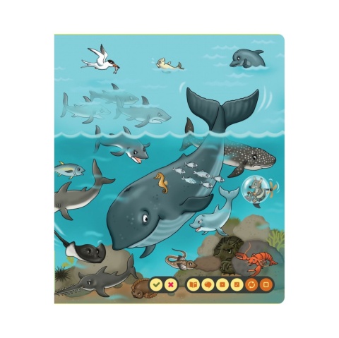 Albi Książka Morskie opowieści 3+