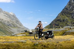 Hamax - przyczepka rowerowa Outback Next, dusty green