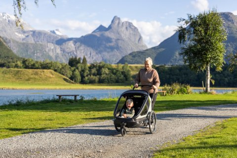 Hamax - przyczepka rowerowa Outback Next, dusty green