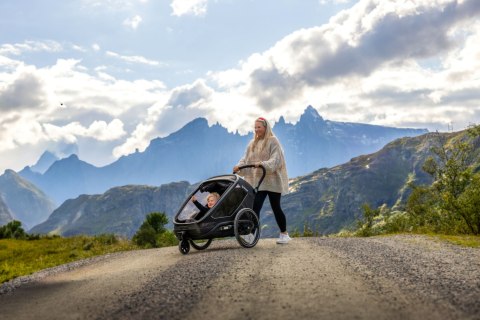 Hamax - przyczepka rowerowa Outback Next, podwójna, black