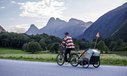 Hamax - przyczepka rowerowa Outback Next, podwójna, dusty green