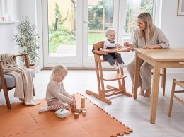 BabyDan - krzesełko do karmienia DanChair + tacka DanTray ZESTAW, mocca mousse