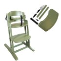 BabyDan - krzesełko do karmienia DanChair + tacka DanTray ZESTAW, tendril green