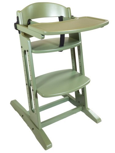 BabyDan - krzesełko do karmienia DanChair + tacka DanTray ZESTAW, tendril green