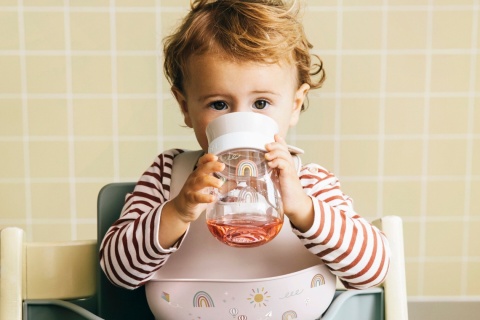 MEPAL Kubek dziecięcy treningowy do nauki picia Mio 300 ml Fairy Garden