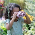 Little Dutch Lornetka Fairy Garden