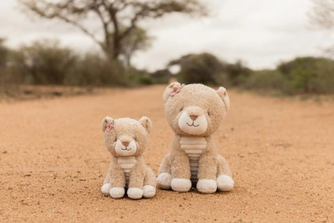 Little Dutch Przytulanka Lew 17cm Safari Friends GRS