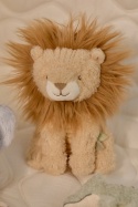 Little Dutch Zestaw prezentowy Safari Friends GRS