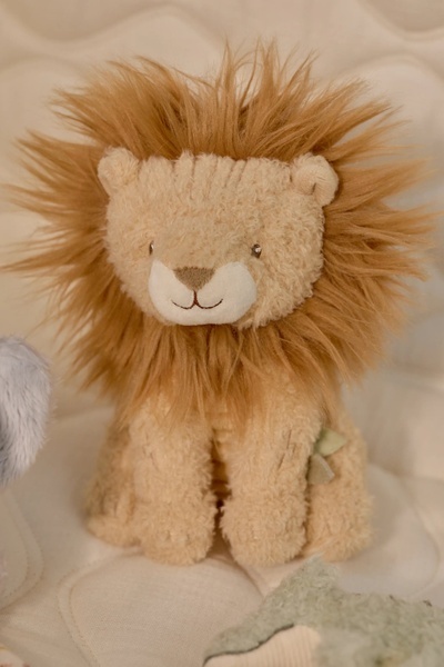 Little Dutch Zestaw prezentowy Safari Friends GRS