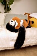 DOUDOU - obciążeniowa pluszowa panda ruda Podcoll Histoire d'Ours, 50 cm, pomarańczowy