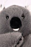 DOUDOU - obciążeniowy pluszowy koala Podcoll Histoire d'Ours, 50 cm, ciemny szary