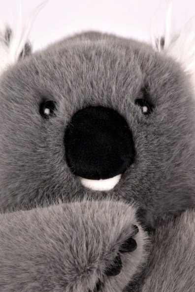 DOUDOU - obciążeniowy pluszowy koala Podcoll Histoire d'Ours, 50 cm, ciemny szary