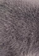 DOUDOU - obciążeniowy pluszowy koala Podcoll Histoire d'Ours, 50 cm, ciemny szary