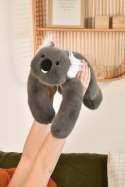 DOUDOU - obciążeniowy pluszowy koala Podcoll Histoire d'Ours, 50 cm, ciemny szary