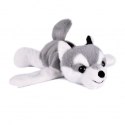 DOUDOU - pluszowa bransoletka slap husky Podcoll, Histoire d'Ours, jasny szary