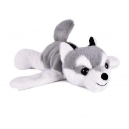 DOUDOU - pluszowa bransoletka slap husky Podcoll, Histoire d'Ours, jasny szary