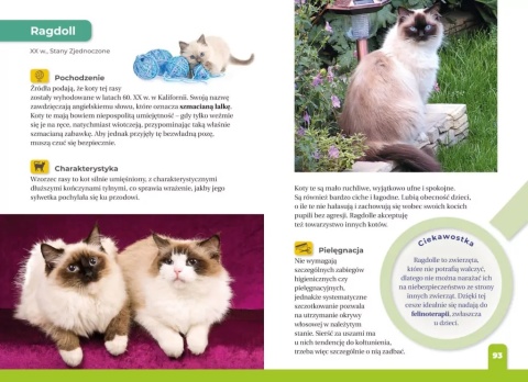 Jaki to kot? Atlas dla dzieci