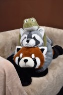DOUDOU - obciążeniowy pluszowy szop pracz Podcoll, Histoire d'Ours, 75 cm, szary