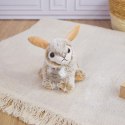 DOUDOU - pluszowe zwierzątka Asst Z'Animoos Histoire d'Ours, 12 szt. ZESTAW