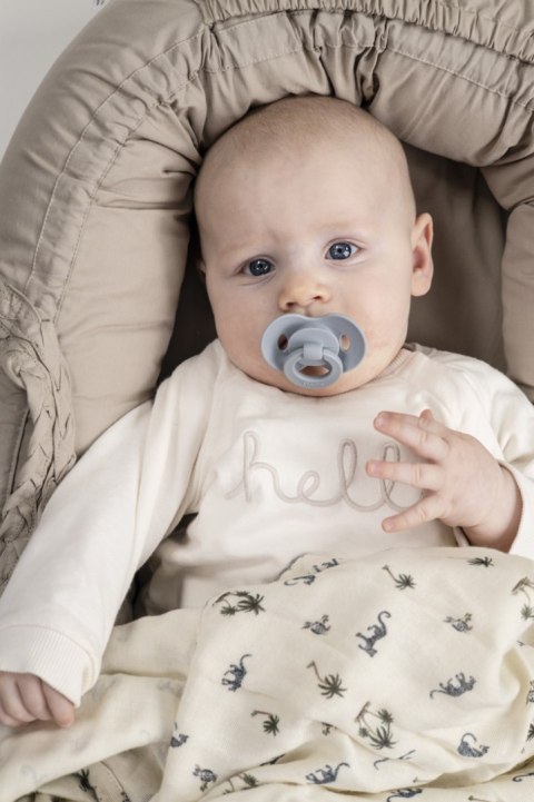 ELODIE DETAILS - smoczek silikonowy 0-6 m, Binky Bundle, Blueberry Bliss - 2 sztuki