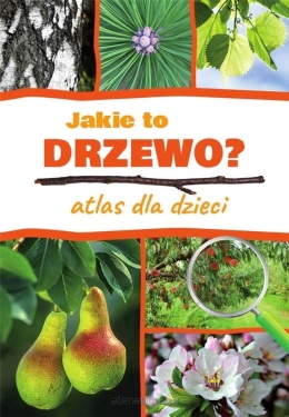 Atlas dla dzieci. Jakie to drzewo?
