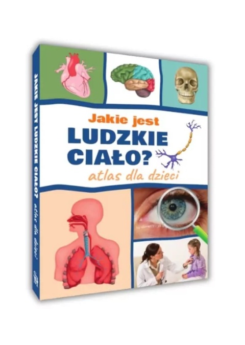 Jakie jest ludzkie ciało? Atlas dla dzieci