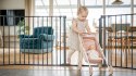 BabyDan - bramka ochronna Flex StepFree XXL, czarna