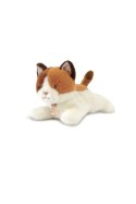DOUDOU - obciążeniowy pluszowy kot Les P'tits Relax, Histoire d'Ours, 22 cm, rudo-biały