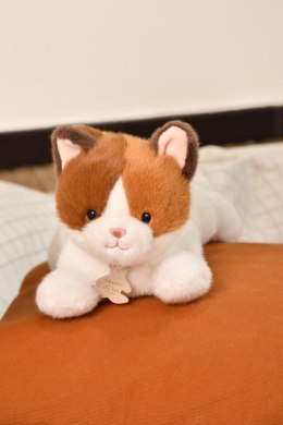 DOUDOU - obciążeniowy pluszowy kot Les P'tits Relax, Histoire d'Ours, 22 cm, rudo-biały