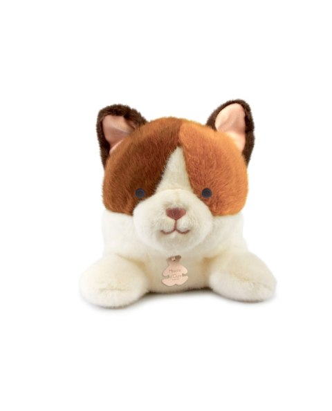DOUDOU - obciążeniowy pluszowy kot Les P'tits Relax, Histoire d'Ours, 22 cm, rudo-biały