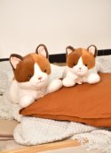 DOUDOU - obciążeniowy pluszowy kot Les P'tits Relax, Histoire d'Ours, 22 cm, rudo-biały