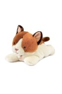 DOUDOU - obciążeniowy pluszowy kot Les P'tits Relax, Histoire d'Ours, 30 cm, rudo-biały