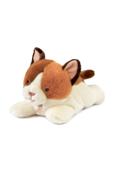 DOUDOU - obciążeniowy pluszowy kot Les P'tits Relax, Histoire d'Ours, 30 cm, rudo-biały