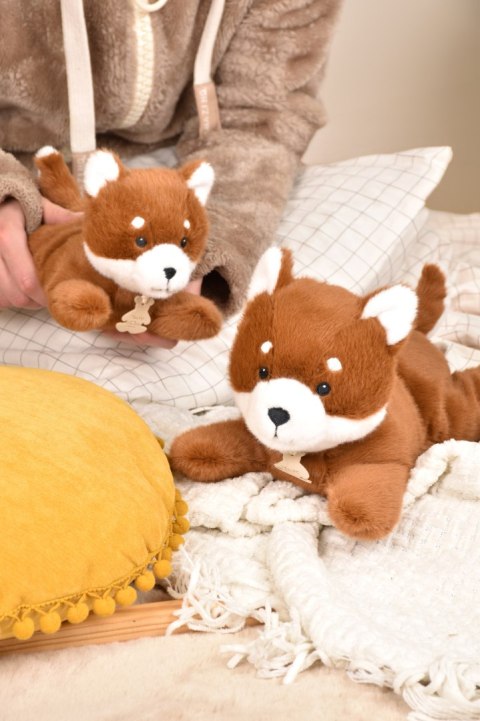 DOUDOU - obciążeniowy pluszowy lis Les P'tits Relax, Histoire d'Ours, 22 cm, rudy