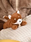 DOUDOU - obciążeniowy pluszowy lis Les P'tits Relax, Histoire d'Ours, 22 cm, rudy