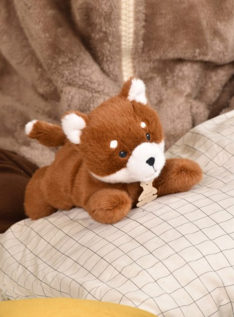 DOUDOU - obciążeniowy pluszowy lis Les P'tits Relax, Histoire d'Ours, 22 cm, rudy