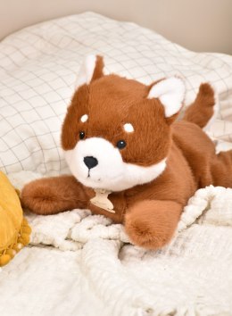 DOUDOU - obciążeniowy pluszowy lis Les P'tits Relax, Histoire d'Ours, 30 cm, rudy