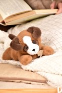 DOUDOU - obciążeniowy pluszowy pies Les P'tits Relax, Histoire d'Ours, 22 cm, brązowy