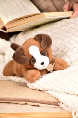 DOUDOU - obciążeniowy pluszowy pies Les P'tits Relax, Histoire d'Ours, 22 cm, brązowy