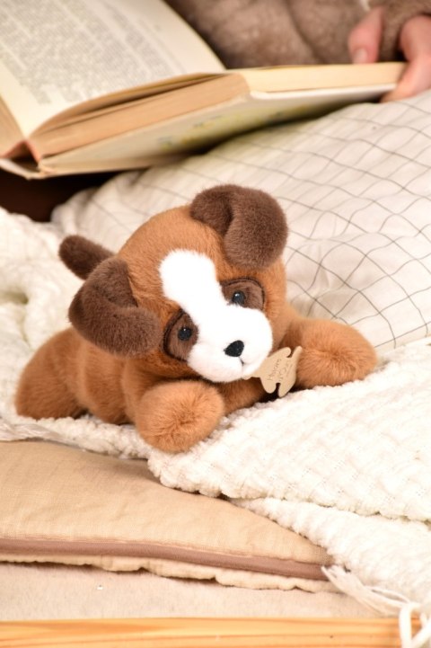DOUDOU - obciążeniowy pluszowy pies Les P'tits Relax, Histoire d'Ours, 22 cm, brązowy